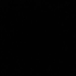 Meet your Posher, Ericka